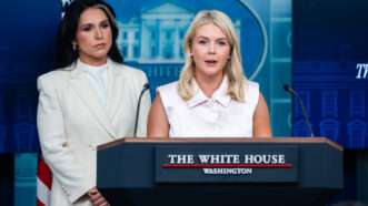 Tulsi Gabbard |  Eric Lee - Pool via CNP/CNP / Polaris/Newscom