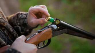 Close-up of a hunter's hands loading shells into a double-barreled shotgun. | Kaspars Grinvalds | Dreamstime.com