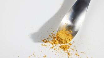 A metal utensil with orange powder | Photo: Solein; Solar Foods