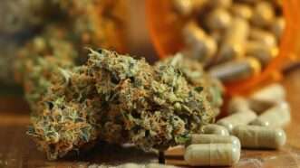A pill bottle spills out green pills alongside cannabis buds. | ID 380696268 | A Bottle ©  M M  Umair | Dreamstime.com