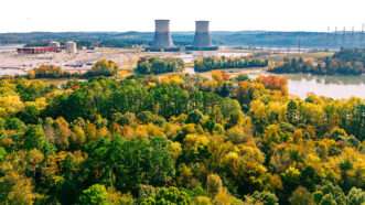 Two nuclear cooling towers are seen in the distance behind a foreground of trees | Photo: Jeremy Poland/iStock