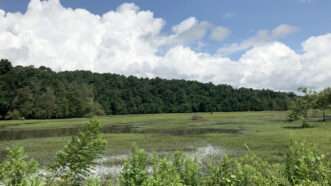 An open water area of a national park. | William Wise | Dreamstime.com