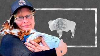 11-7-25-v4-a |  Illustration: Eddie Marshall | Tony Bosse | Dreamstime.com