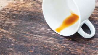 Coffee cup tipped over with coffee spilled out on a wood surface. | Pkanchana | Dreamstime.com
