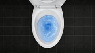 pantherphotos11187588 | supachai/Newscom