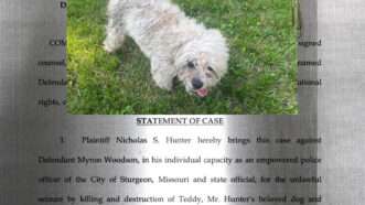 dog and lawsuit text | Illustration: Eddie Marshall