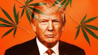 President Donald Trump and marijuana leaves | Eddie Marshall | Nano Banana