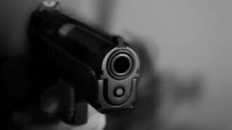 Gun | ID 44991555 | Control ©  Laura Lee Cobb | Dreamstime.com