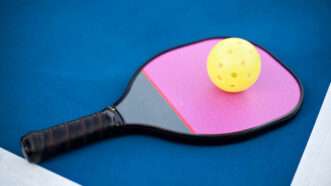 Pickle ball and paddle | ID 46520760 ©  Ahturner | Dreamstime.com