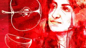 An illustration showing Lina Khan and an apple | Illustration: Joanna Andreasson, iStock