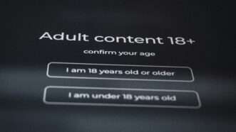 Adult verification notice | Photo by <a href="https://unsplash.com/@zulfugarkarimov?utm_source=unsplash&utm_medium=referral&utm_content=creditCopyText">Zulfugar Karimov</a> on <a href="https://unsplash.com/photos/adult-content-18-confirm-your-age-gQth0cwzI9A?utm_source=unsplash&utm_medium=referral&utm_content=creditCopyText">Unsplash</a>       