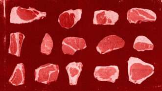 Illustration of cuts of beef | Illustration: Midjourney