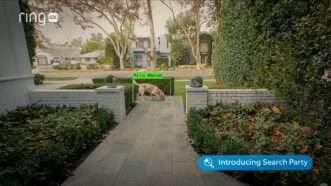 Screenshot from Ring's Super Bowl ad, in which a video doorbell detects a dog in the front yard. | Ring/YouTube
