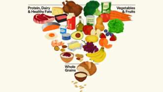 The 2026 food pyramid showing an inverted pyramid with protein, dairy, fruits, and vegetables at the top and whole grains at the bottom | Department of Agriculture