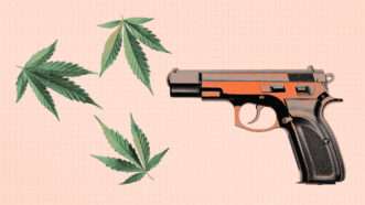 cannabis leaves next to a pistol | Envato