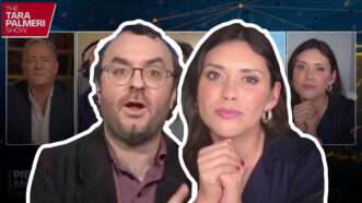 Tara Palmeri and Michael Tracey | Illustration: Tara Palmeri/X