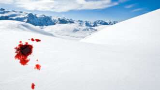 An illustration of a snowy landscape with a blood stain on the snow | Photos: iStock