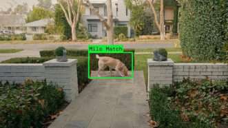 A frame from Ring's Super Bowl ad showing a dog outside someone's front door | Photo: Ring