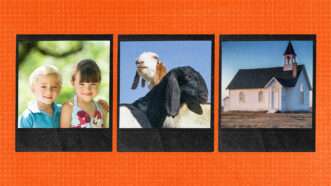 Kids, goats, and church | Envato