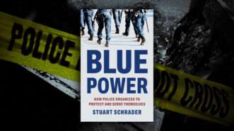 Blue Power book cover | llustration: Olivier Le Queinec /Dreamstime/Blue Power/Basic Books