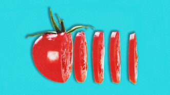 Tomato, with slices | Illustration: Николай Митрофанов/Dreamstime