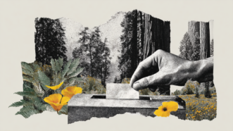 drawing of buildings, plants and flowers, and a hand putting something in a ballot box | Illustration: Midjourney