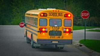 A yellow school bus at a stop sign | Sonya Etchison/Dreamstime