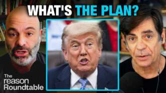 Mike Pesca appears on the left, and Nick Gillespie appears on the right. An image of President Donald Trump appears in the center box. Bold text across the top reads "What's the plan?" | Illustration: Adani Samat
