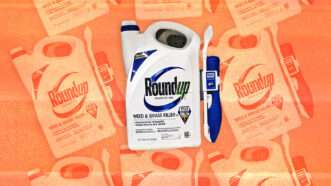 Roundup herbicide | Adani Samat/Wirestock
