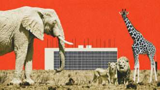 Data centers and animals | Midjourney