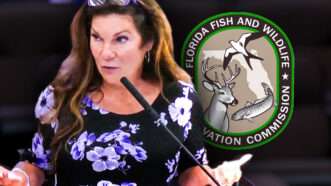 Katrina Shadix FWC | Bear Warriors/YouTube