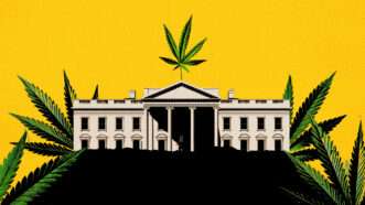 White House surrounded by marijuana leaves | Photo: Kip02kas/Dreamstime. Illustration: Fatima Ruiz, Midjourney