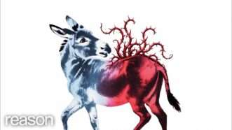 Thorny red vines growing out of a donkey's back. | Illustration by Lex Villena