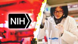 An illustration of the NIH logo alongside a researcher working in a lab | Illustration: National Institutes of Health/Robyn Mackenzie/Tommy Song/Dreamstime