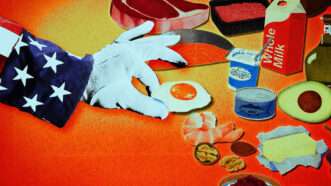 Gloved hand of Uncle Sam assembling food like eggs and yogurt on a table | 50jb/Dreamstime/USDA/HHS/Fatima Ruiz