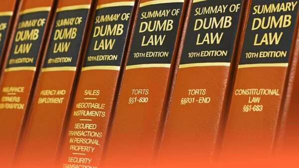 Row of books that say "Summary of Dumb Law" | Illustration: Eddie Marshall | Jennifer Pitiquen | Dreamstime.com | ChatGPT