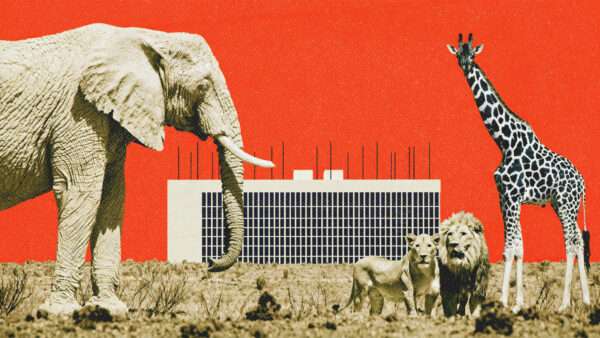 Data centers and animals | Midjourney