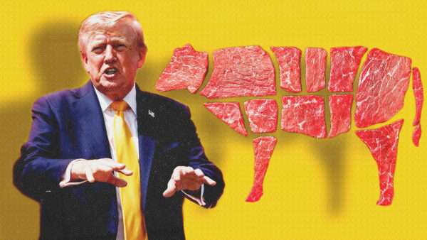 Donald Trump in front of beef | Illustration: CNP/AdMedia /MEGA/Newscom/JGLIT/Newscom/lblinova/Envato