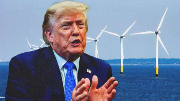 President Donald Trump and wind mills in the background | Illustration: Aaron Schwartz - via CNP/Polaris/Newscom/Peter Titmuss/Dreamstime
