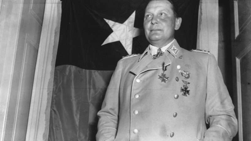 Large image on homepages | Hermann Goering/Public Domain