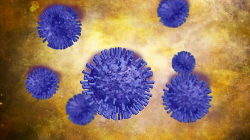 illustration of purple viruses