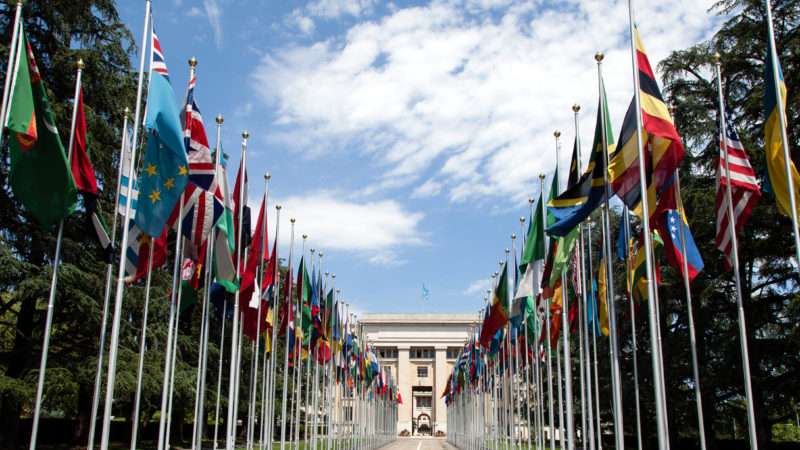 United_Nations_Flags_-_cropped | Tom Page / Wikimedia Commons