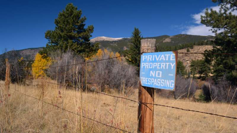 dreamstime_xl_61533549