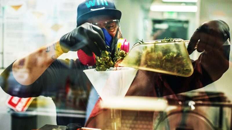 marijuanagrow_1161x653