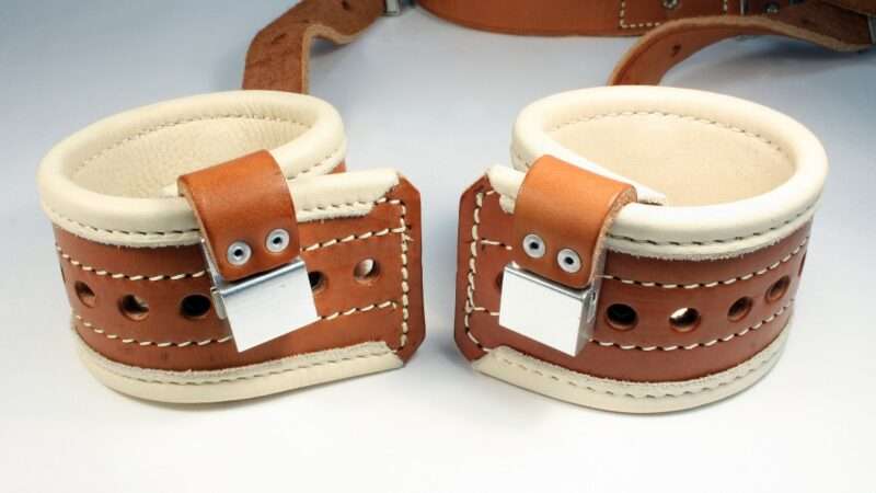 restraints_1161x653