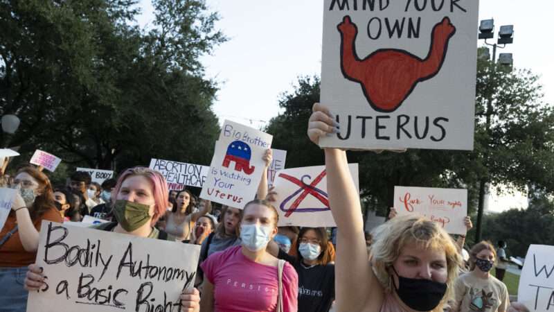 zumaamericasthirtytwo202073