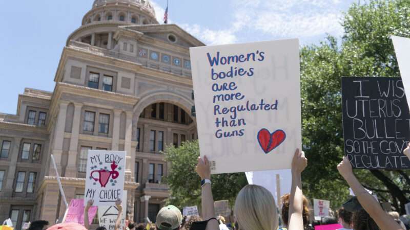 zumaamericasthirtytwo274676