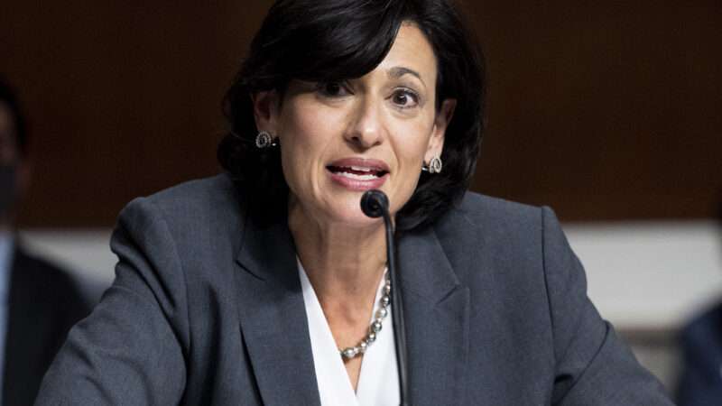 zumaamericasthirtytwo803725