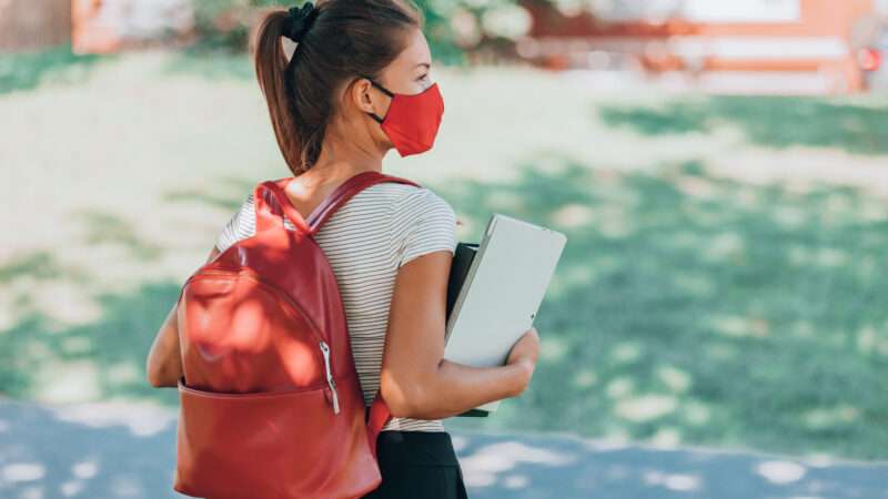 dreamstime_m_195305907