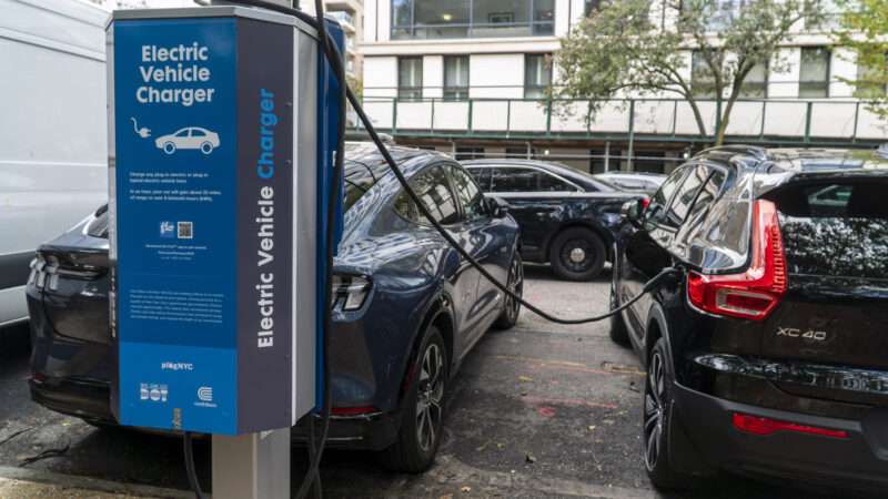 zumaglobaleleven268274